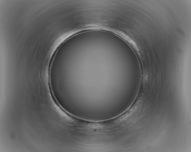 X0000112101239200908041504