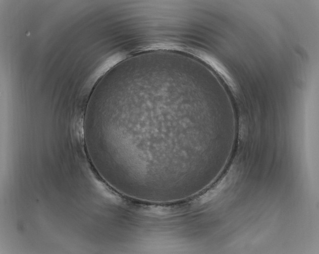 X0000112101241200908041504