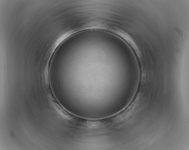 X0000112101242200908041504