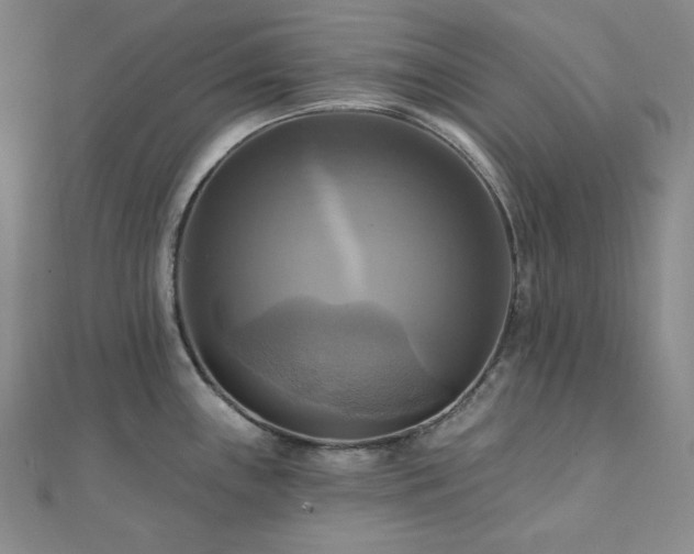 X0000112101243200908041504