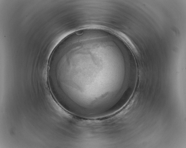 X0000112101244200908041504