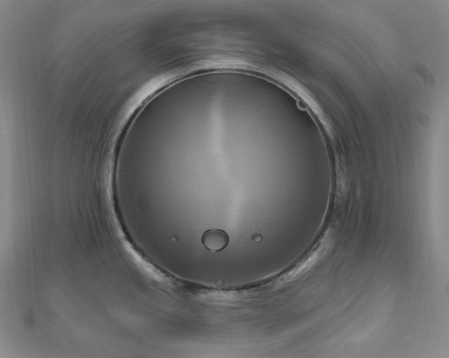 X0000112101245200908041504
