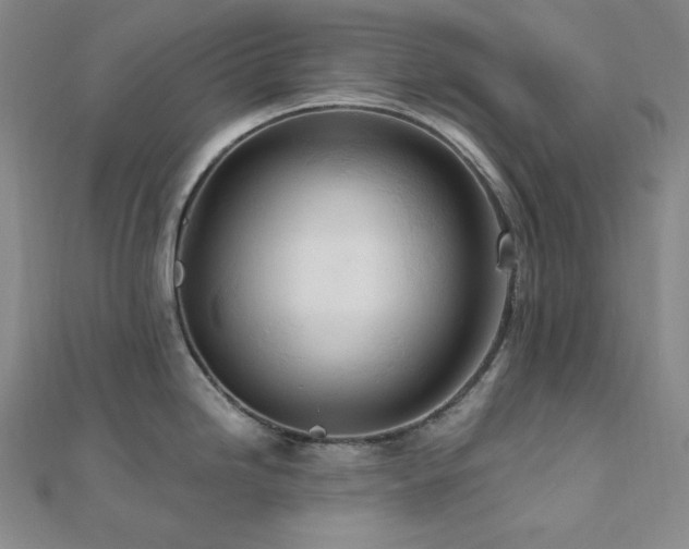 X0000112101246200908041504