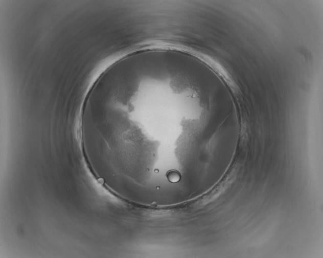 X0000112101247200908041504