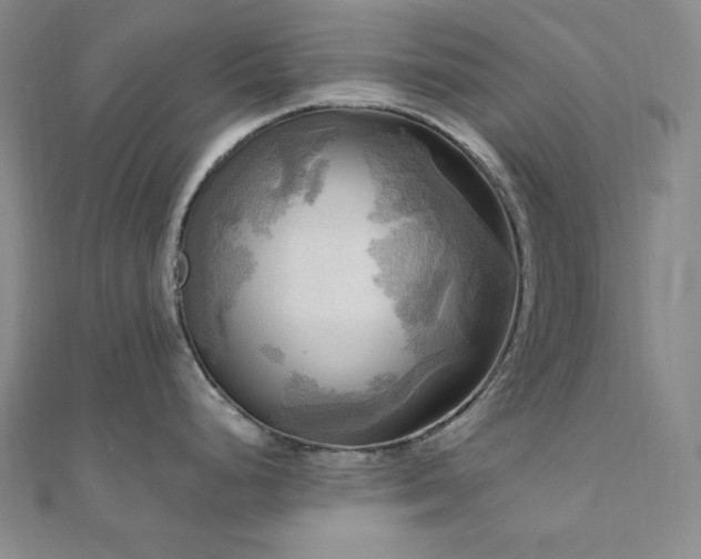 X0000112101248200908041504
