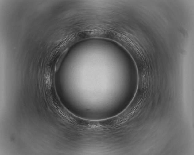 X0000112101250200908041504