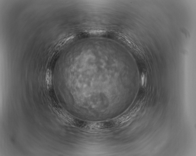 X0000112101251200908041504