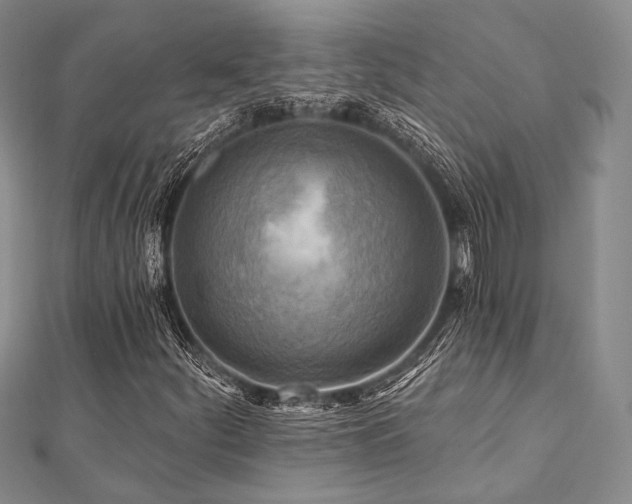 X0000112101252200908041504