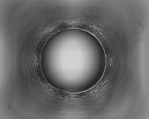 X0000112101253200908041504