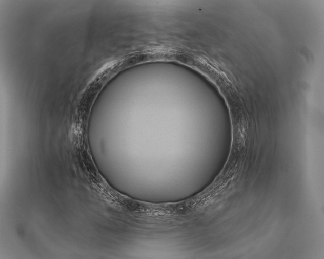 X0000112101254200908041504