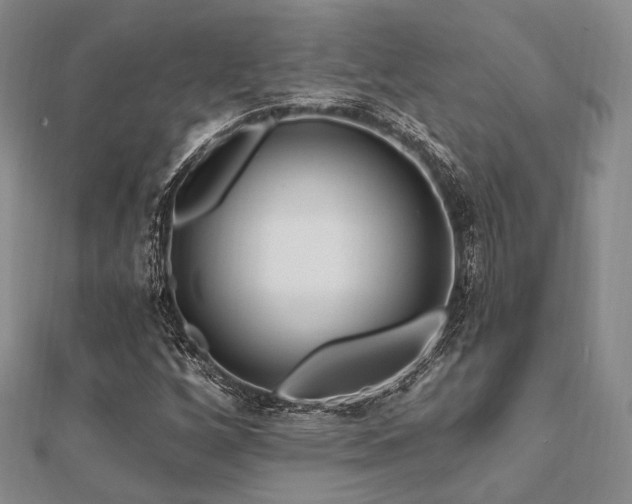 X0000112101256200908041504