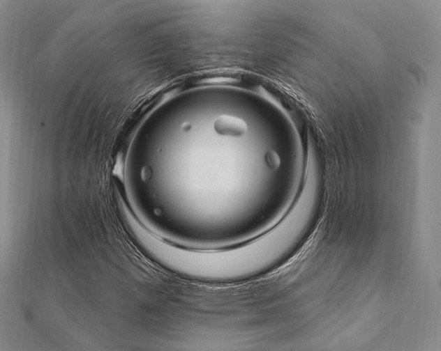 X0000112101257200908041504