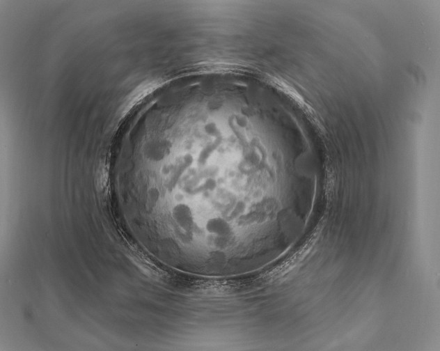 X0000112101259200908041504