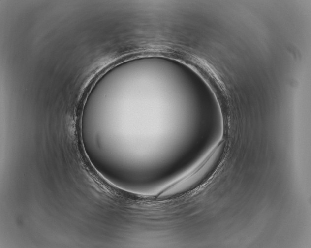 X0000112101260200908041504