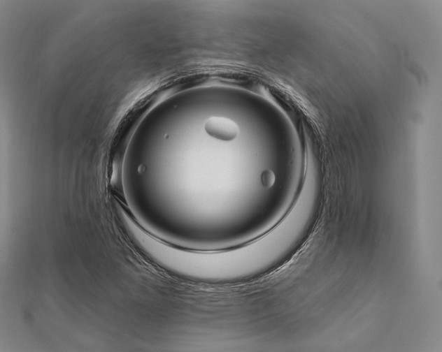 X0000112101261200908041504