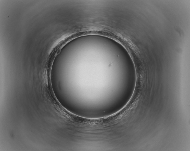 X0000112101262200908041504