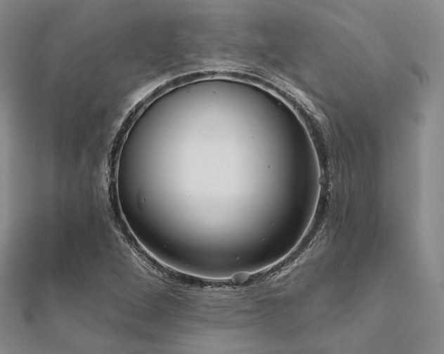 X0000112101264200908041504