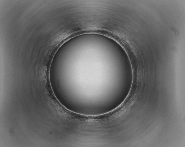 X0000112101265200908041504