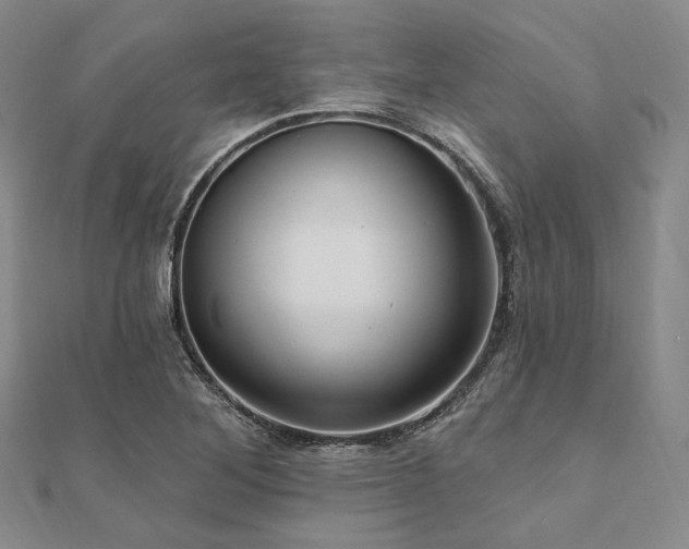 X0000112101268200908041504