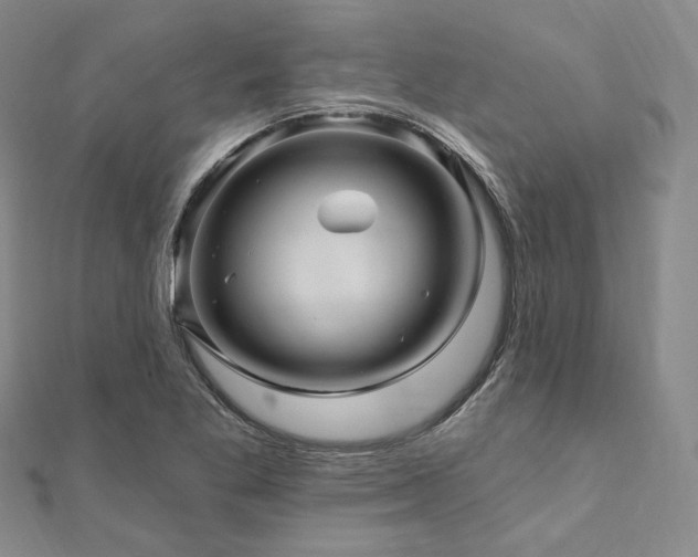 X0000112101269200908041503