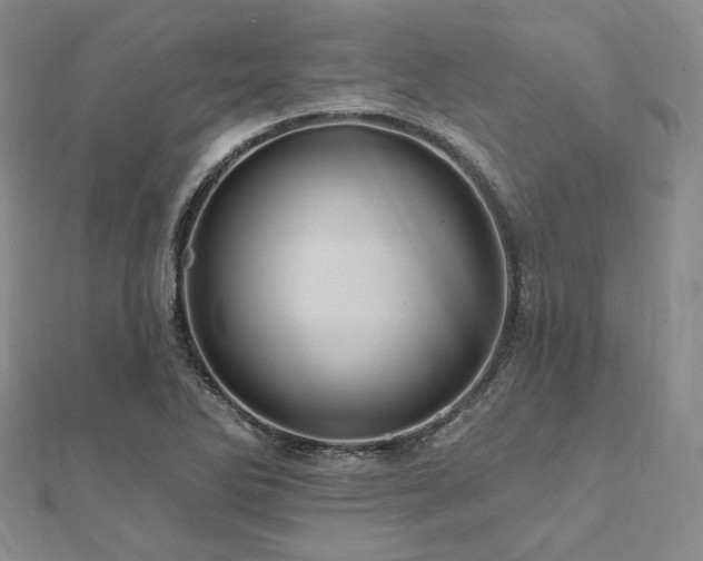 X0000112101270200908041503