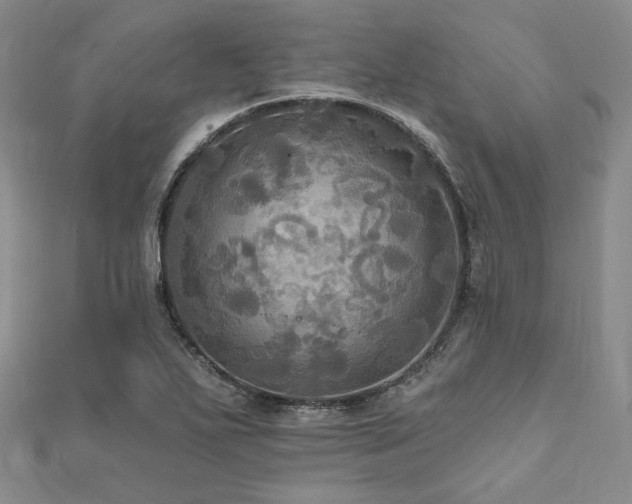 X0000112101271200908041503