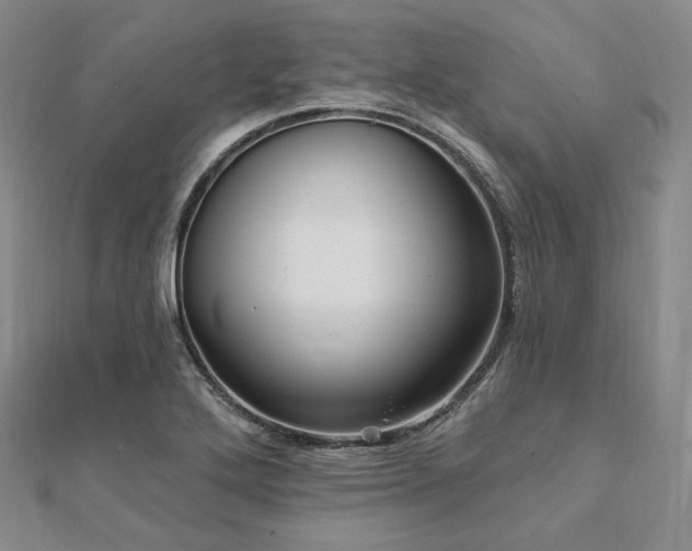 X0000112101272200908041503