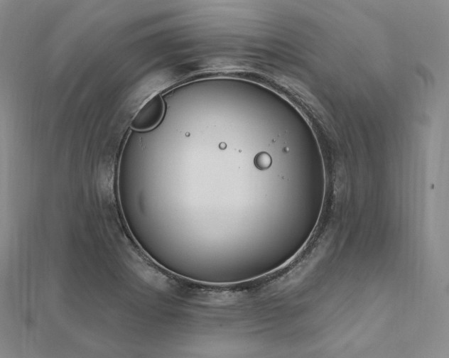 X0000112101273200908041503