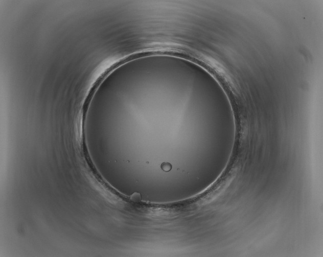X0000112101275200908041503
