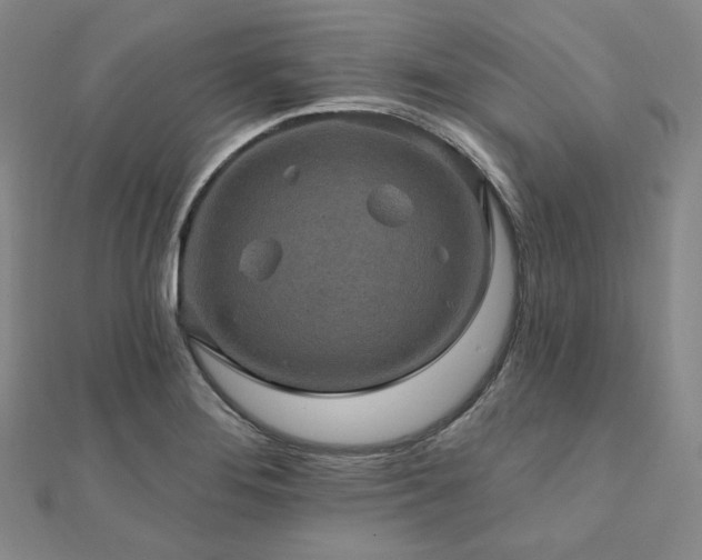 X0000112101276200908041503