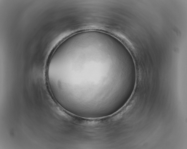 X0000112101278200908041503