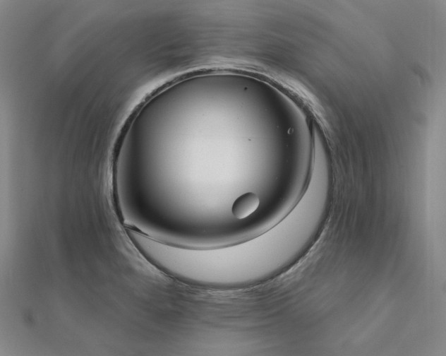 X0000112101280200908041503