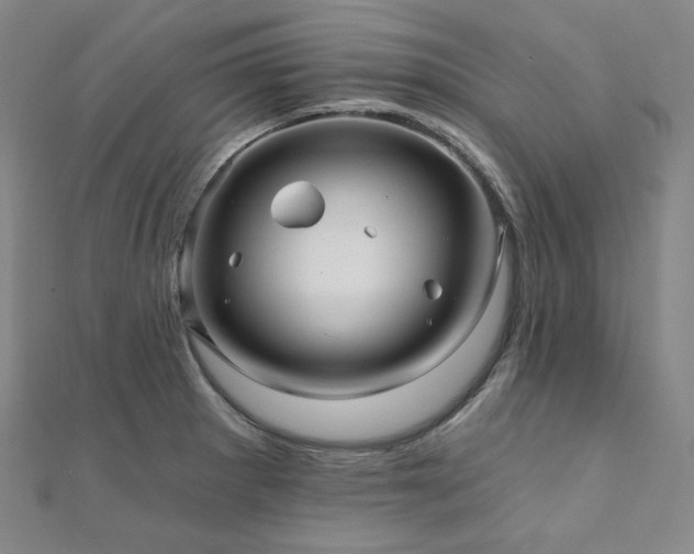 X0000112101281200908041503