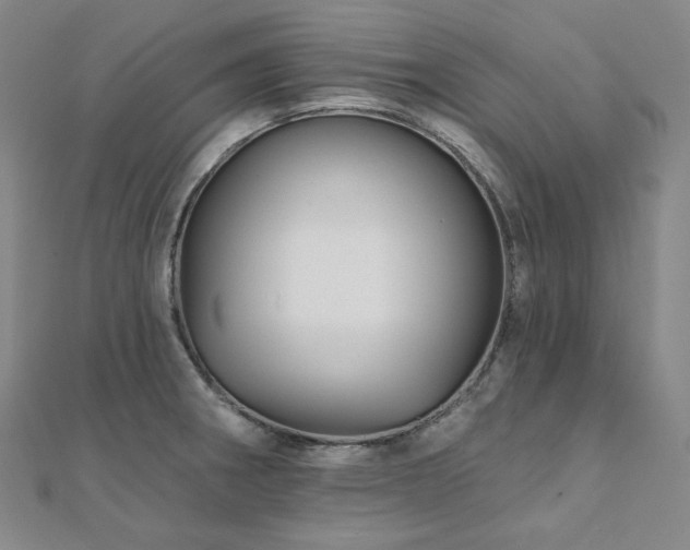 X0000112101282200908041503