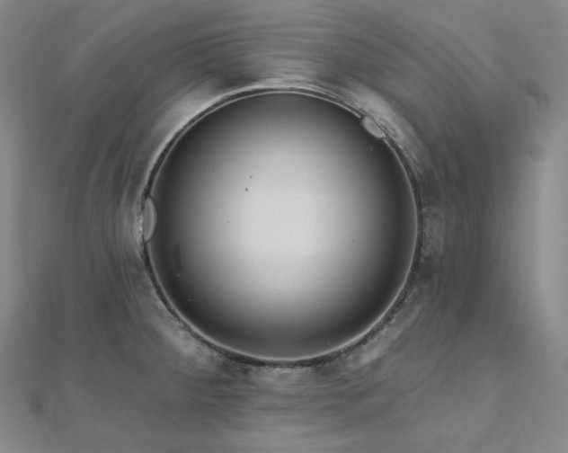 X0000112101284200908041503