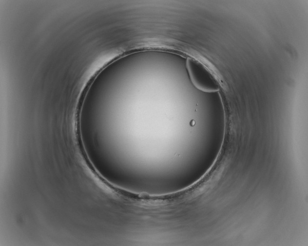 X0000112101285200908041503