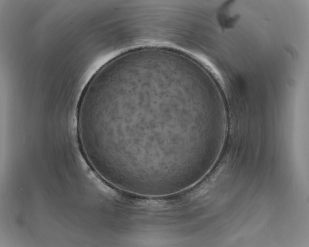X0000112101287200908041503