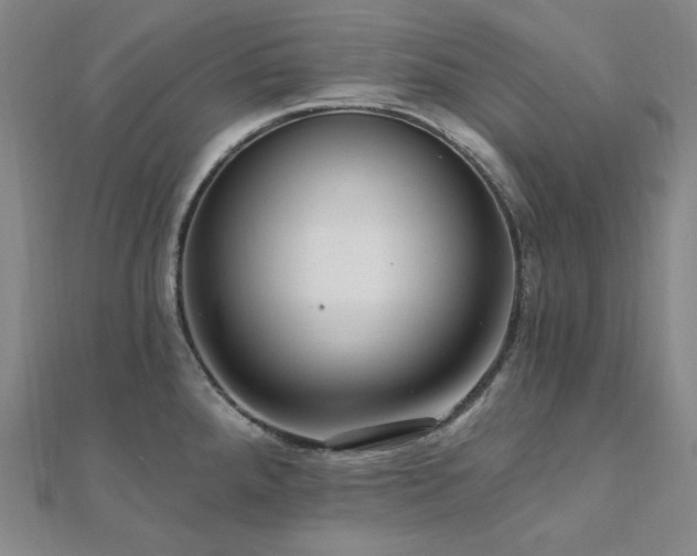 X0000112101288200908041503