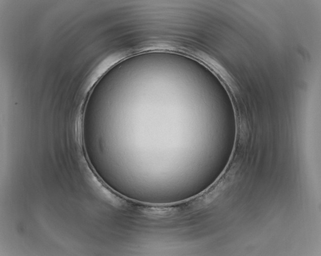 X0000112101290200908041503