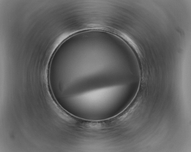X0000112101291200908041503