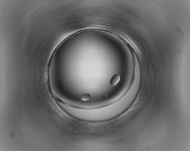 X0000112101292200908041503