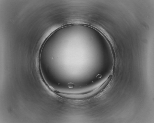 X0000112101293200908041503