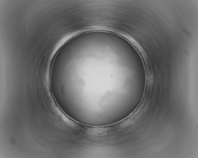 X0000112101294200908041503
