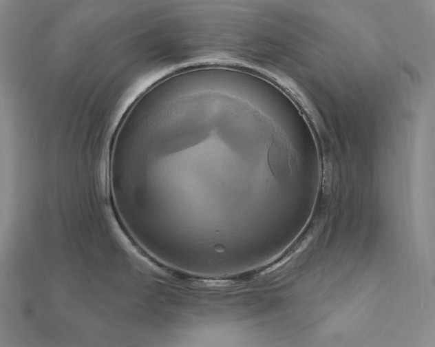 X0000112101295200908041503