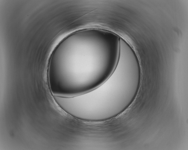 X0000112101296200908041503