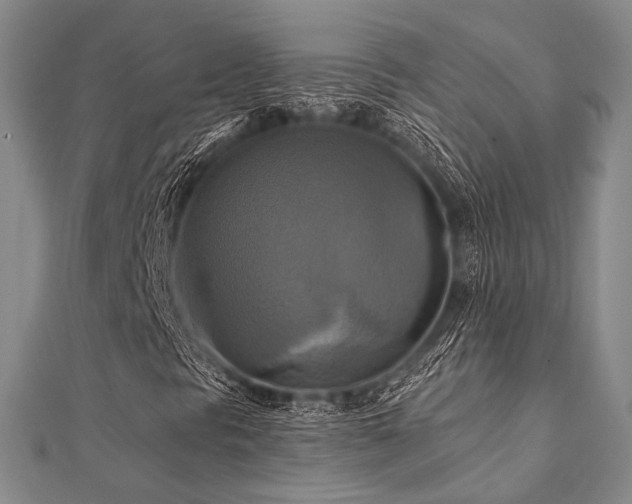 X0000112101297200908041503