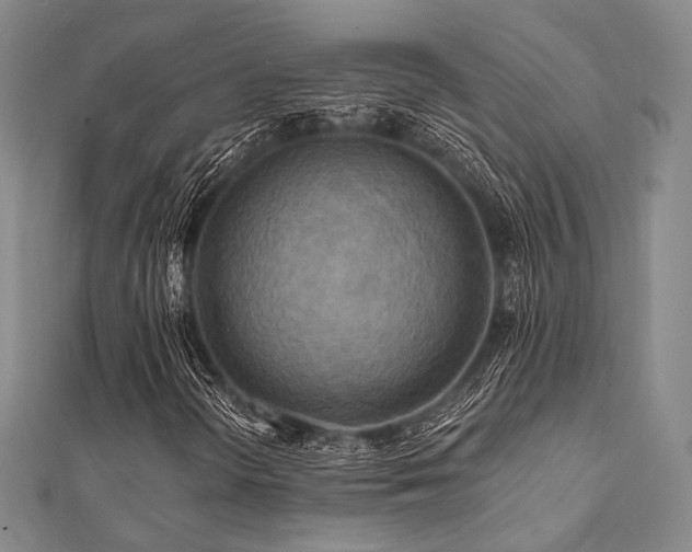 X0000112101298200908041503