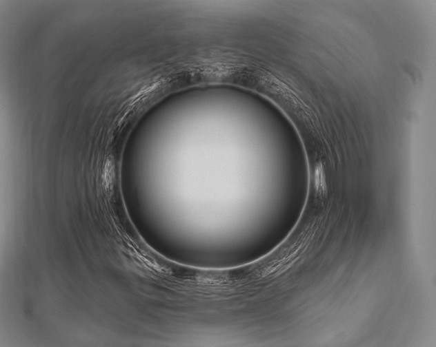 X0000112101299200908041503