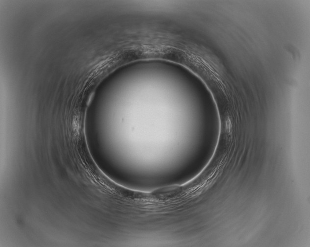 X0000112101300200908041503