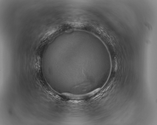 X0000112101301200908041503
